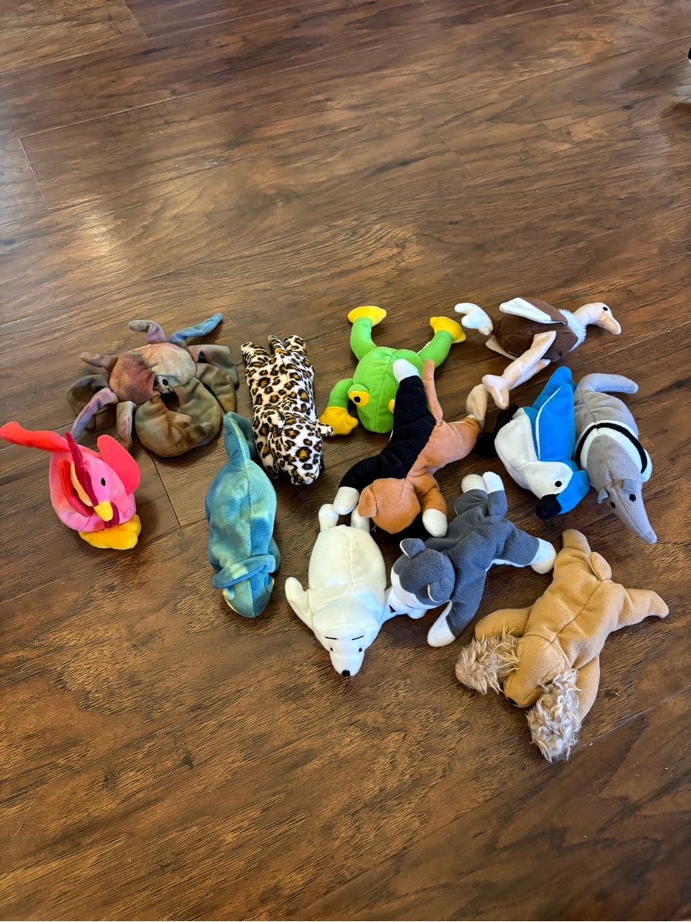 Mini Ty lot, no tags, 4-6in